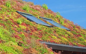 Bilbrough living roof systems