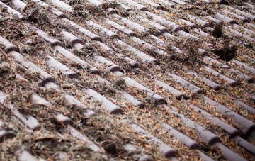 Bilbrough roof cleaning companies