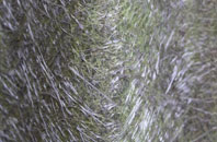 Bilbrough fibreglass roof work